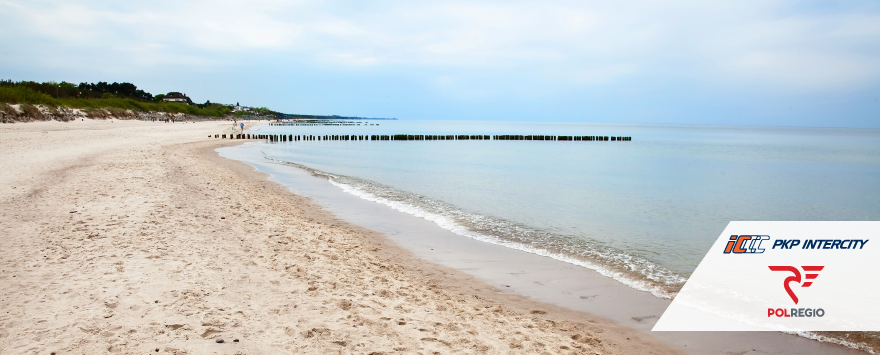 obraz przedstawia plażę