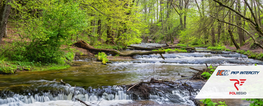 obraz przedstawia strumień